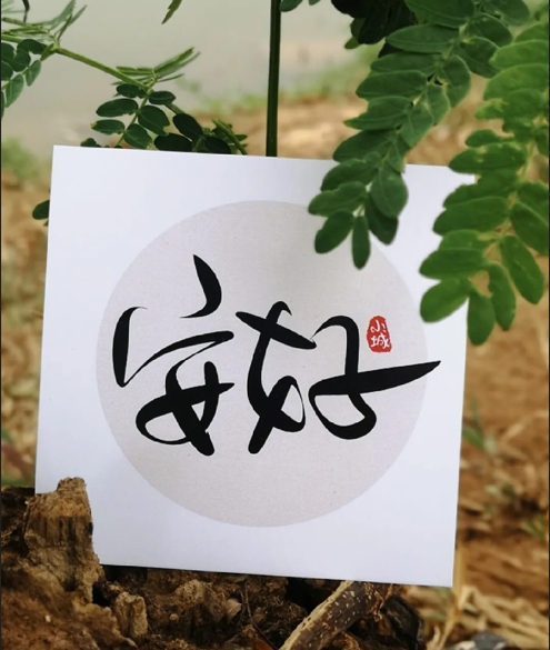 11月簡(jiǎn)報(bào)--[惠州昇滬科技]